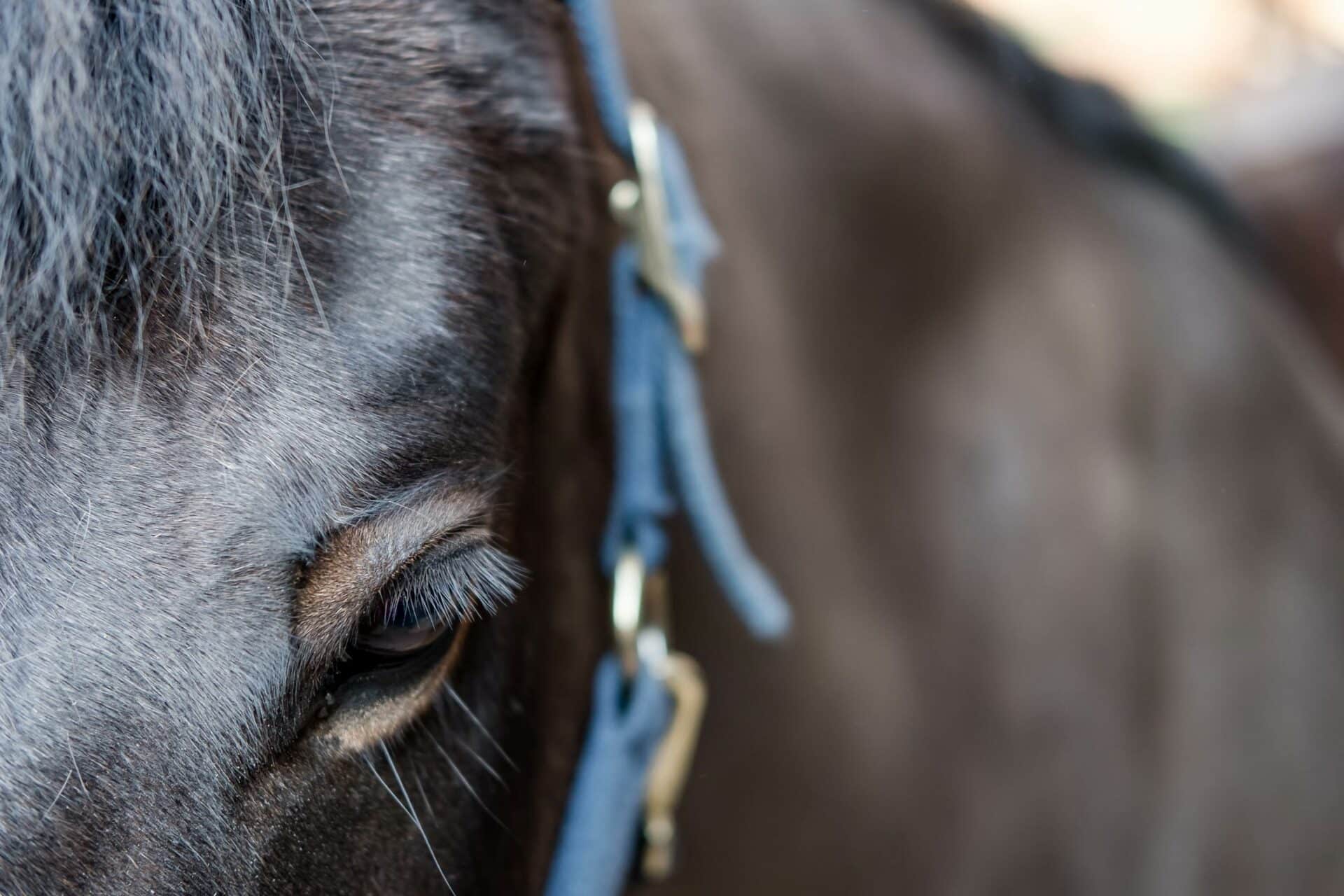 Our Comprehensive Diagnostic Services